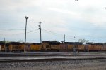 UP 8367